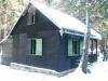 ornitolog029